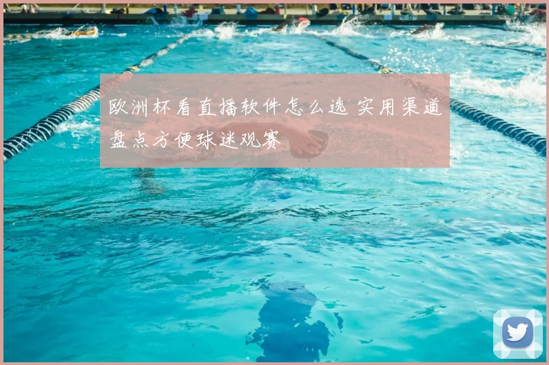 欧洲杯看直播软件怎么选 实用渠道盘点方便球迷观赛