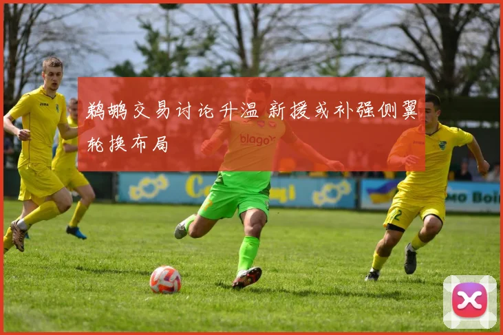 鹈鹕交易讨论升温 新援或补强侧翼轮换布局